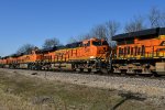 BNSF 6891 Roster shot